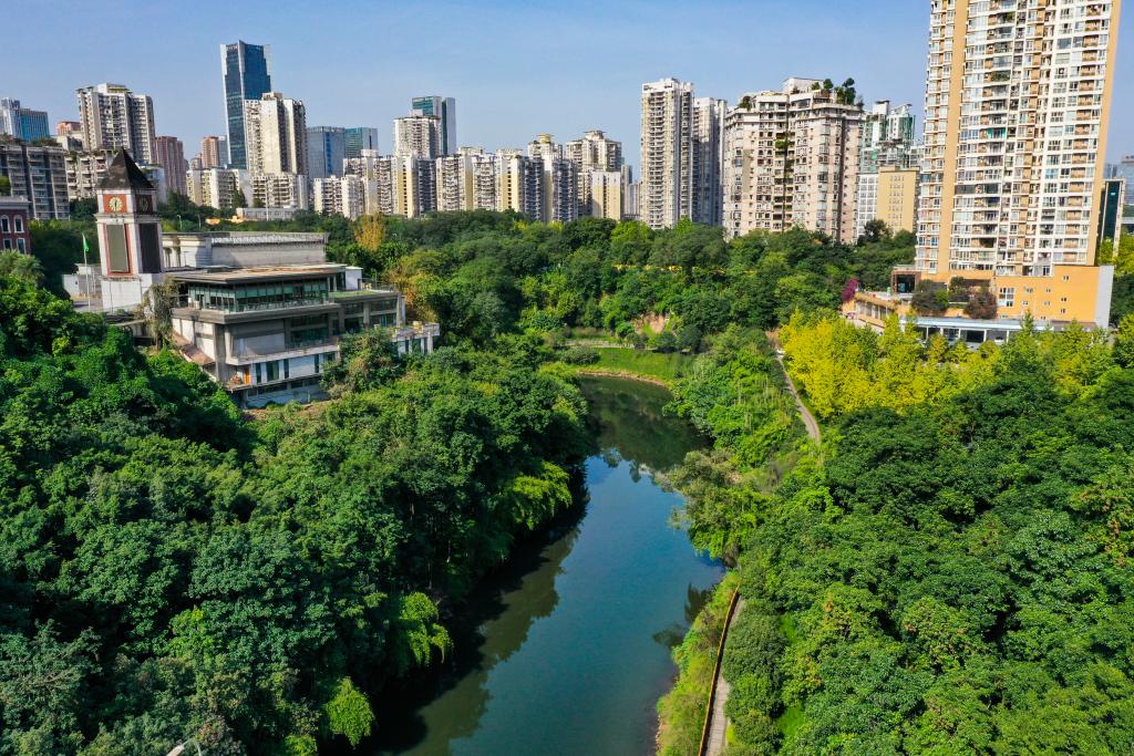 重庆渝北：“清水绿岸”治理提升显成效