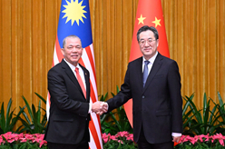 丁薛祥会见马来西亚副总理法迪拉