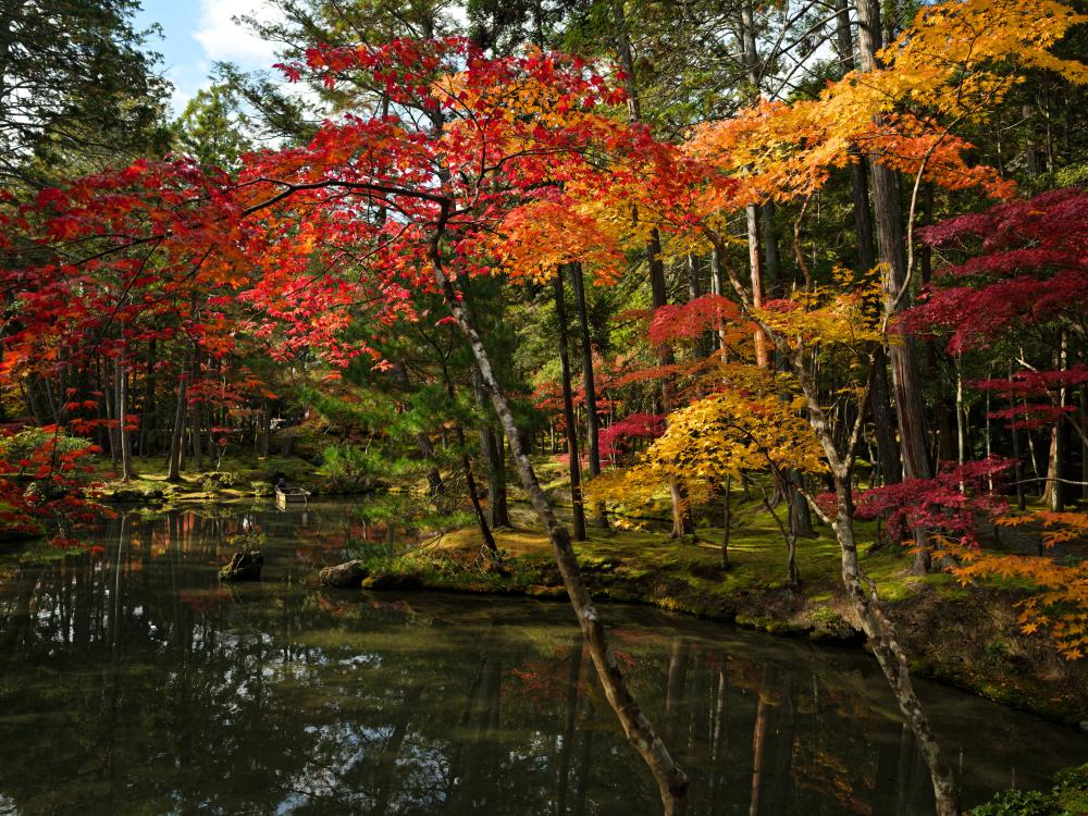 红叶满京都