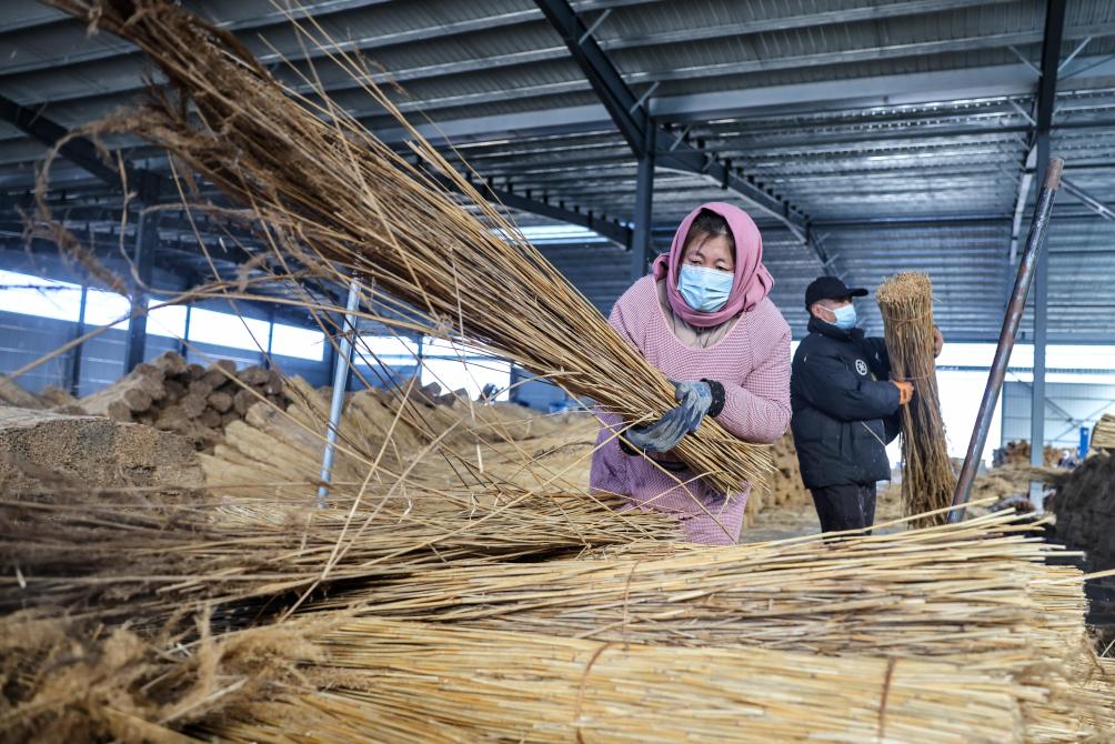 山東：葦簾加工編織富民産業