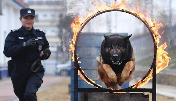 刘慧和&ldquo;威利&rdquo;