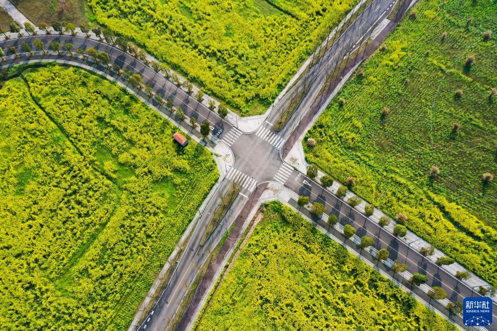 重庆广阳岛就这样回归自然