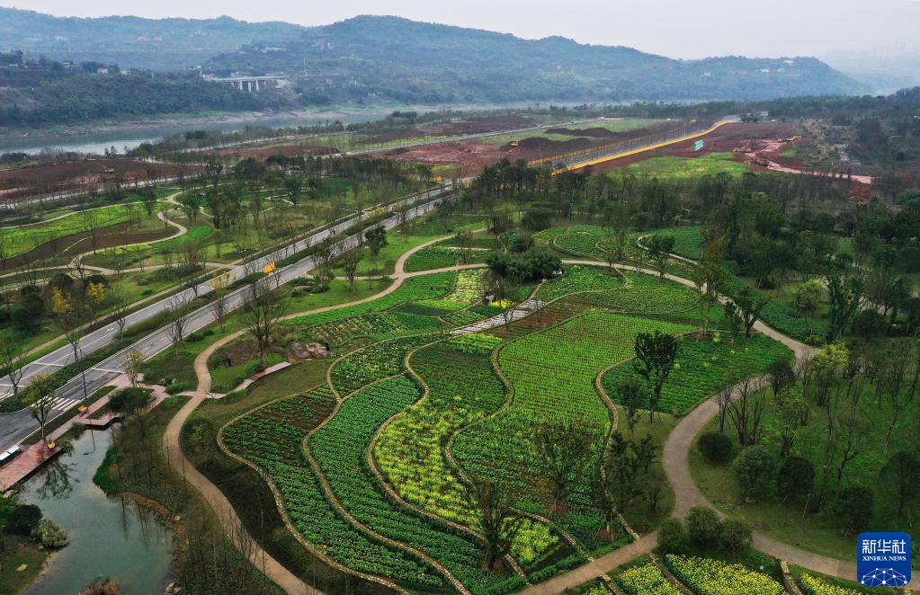 重庆广阳岛就这样回归自然