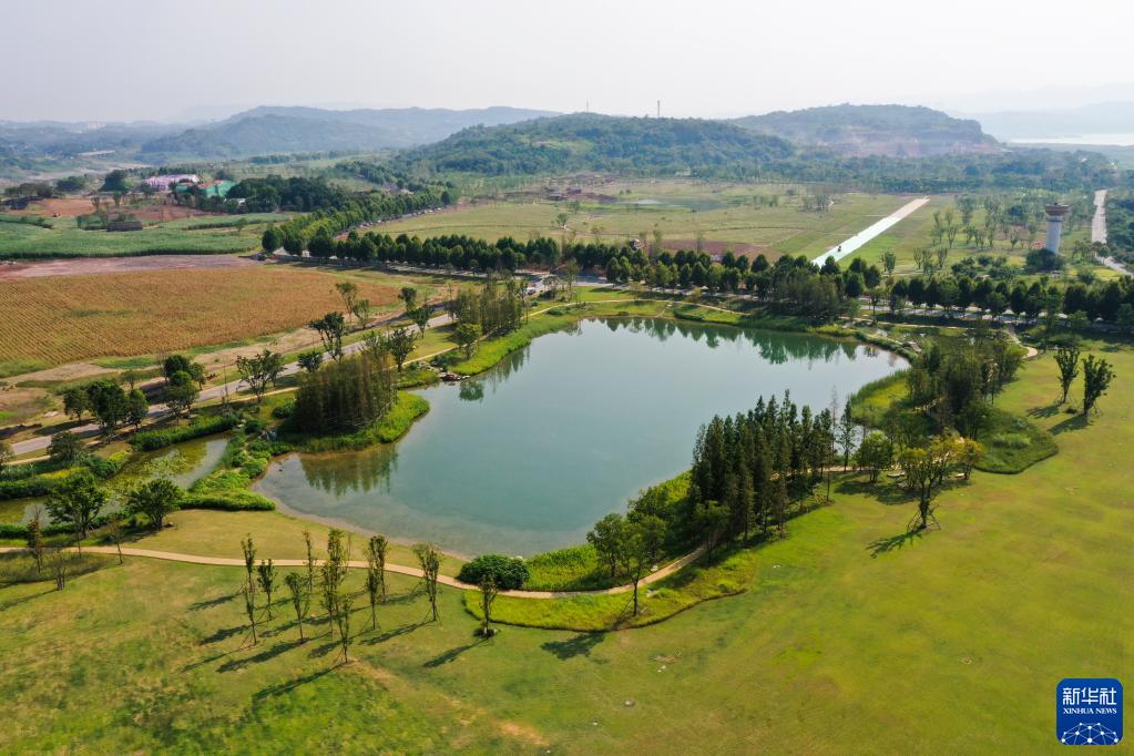 重庆广阳岛就这样回归自然