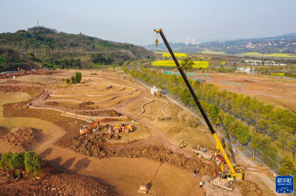 重庆广阳岛就这样回归自然