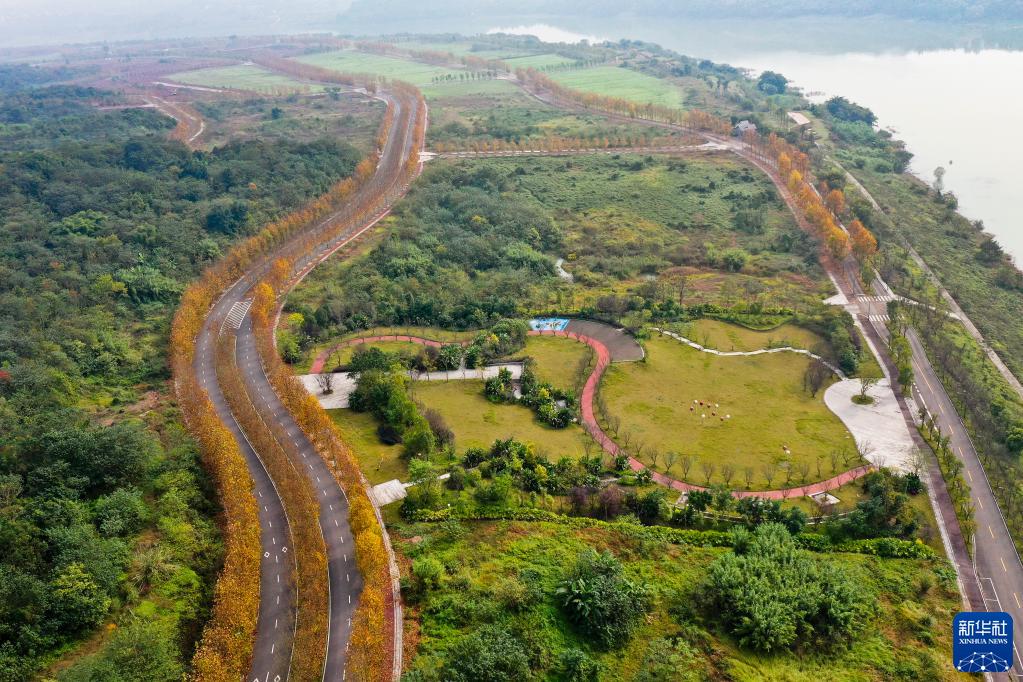 重庆广阳岛就这样回归自然