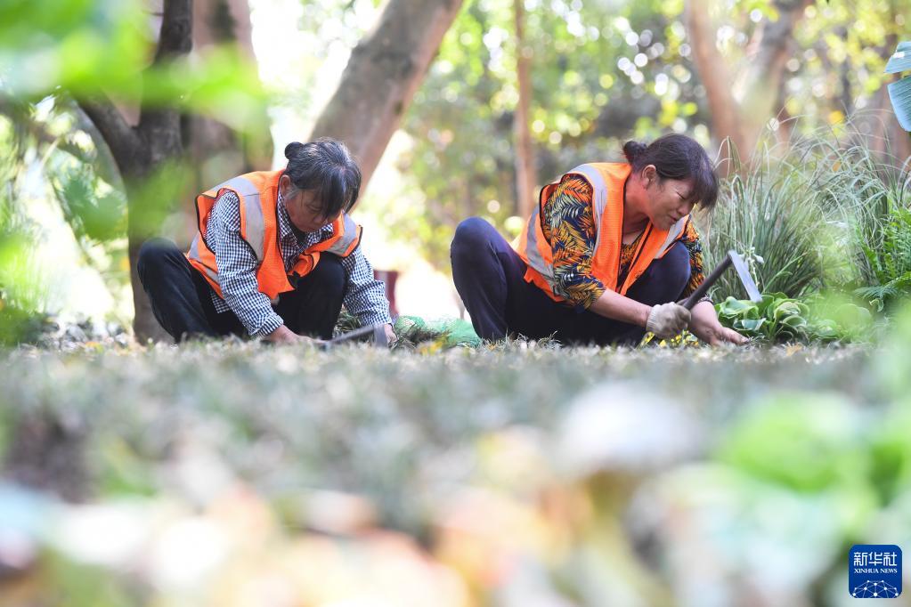 重庆广阳岛就这样回归自然