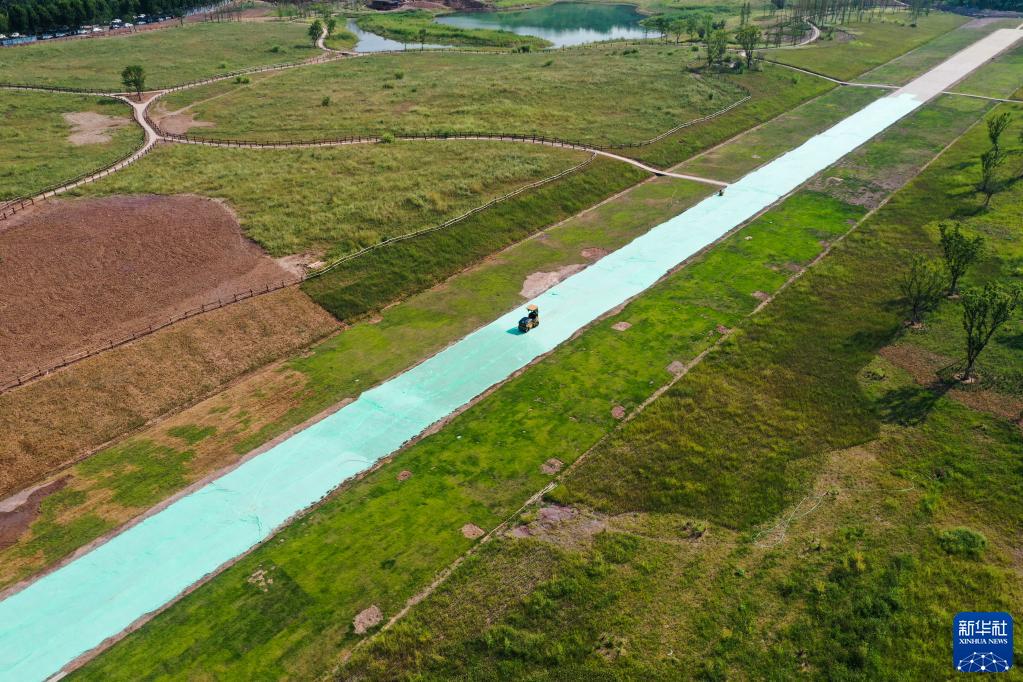 重庆广阳岛就这样回归自然