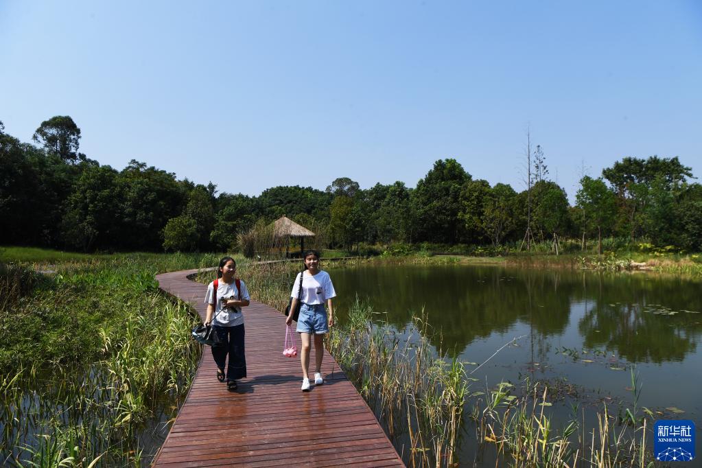 重庆广阳岛就这样回归自然