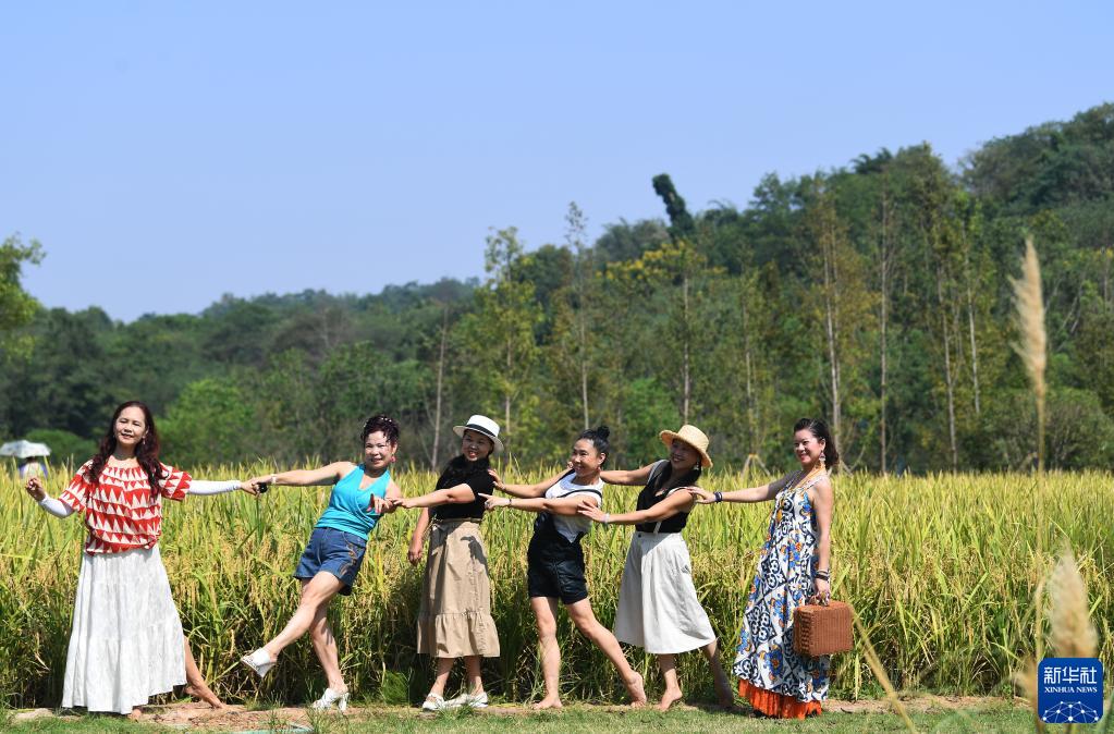 重庆广阳岛就这样回归自然