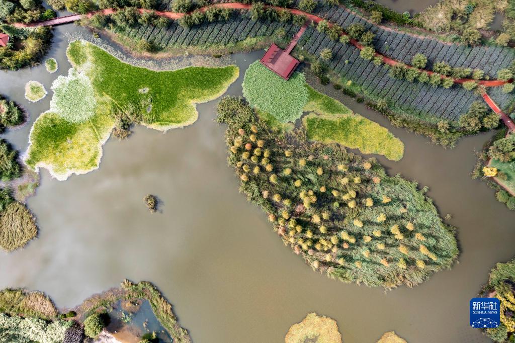 共建地球生命共同体丨COP15大会召开在即——一睹滇池之美