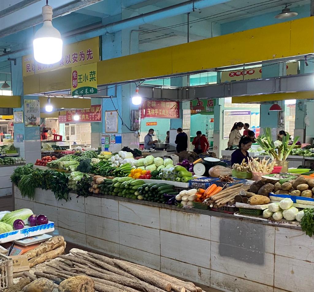 我国“南菜园”广西走访见闻：蔬菜价格走高 加紧生产保供