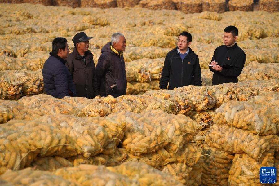 从以习近平同志为核心的党中央引领新时代变革性实践看实现中华民族伟大复兴(图5)