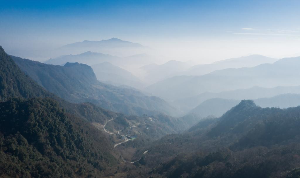 关闭矿山、禁止非法狩猎……大熊猫保护惠及保护区内其他野生动植物