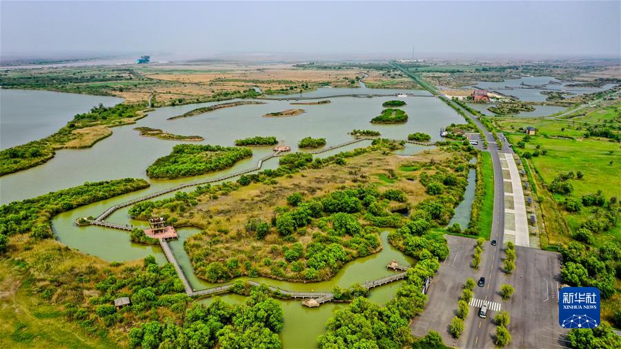 （新华全媒头条&middot;图文互动）（3）&ldquo;让我们一起向未来&rdquo;&mdash;&mdash;聆听习近平主席2022年新年贺词