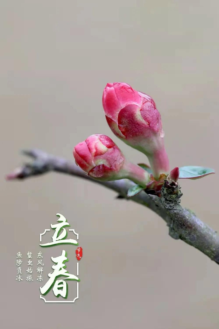 在中国古诗词里，寻找北京冬奥的“节气密码”