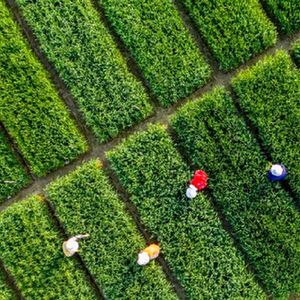 微信分享图 图片