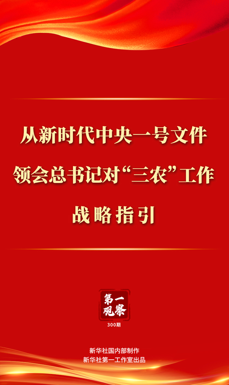 第一观察丨从新时代中央一号文件领会总书记对“三农”工作战略指引