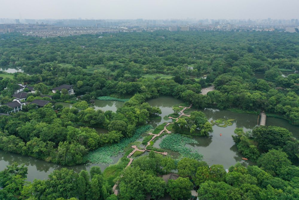 奋力谱写中国式现代化的浙江篇章——写在“八八战略”实施20年之际