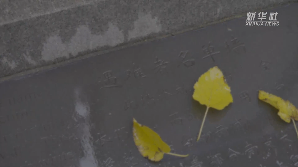 新华全媒+｜三十万同胞的石碑：等待“找回”更多的姓名