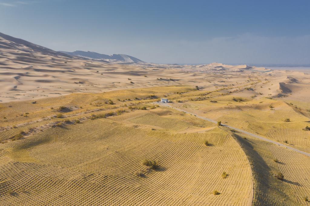 代表委员与中华文化瑰宝的故事丨汪万福代表：像给小孩打针一样，修复敦煌病害壁画