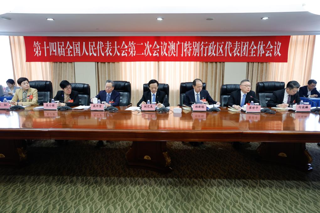 两会｜澳门代表团举行开放团组会议_2024全国两会_中国网