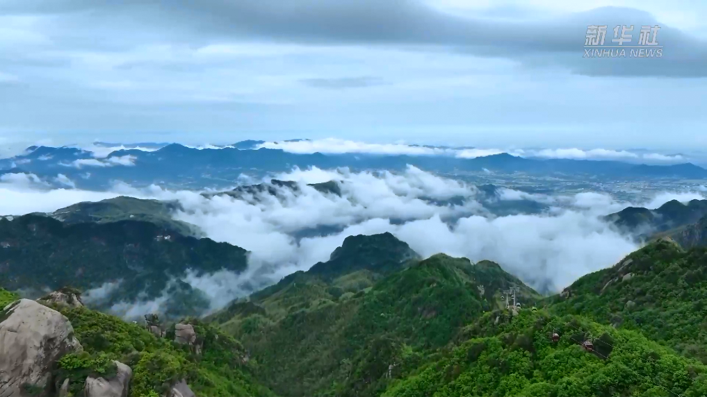 文化中国行｜九华山：缥缈云海景如画 山花烂漫醉游人