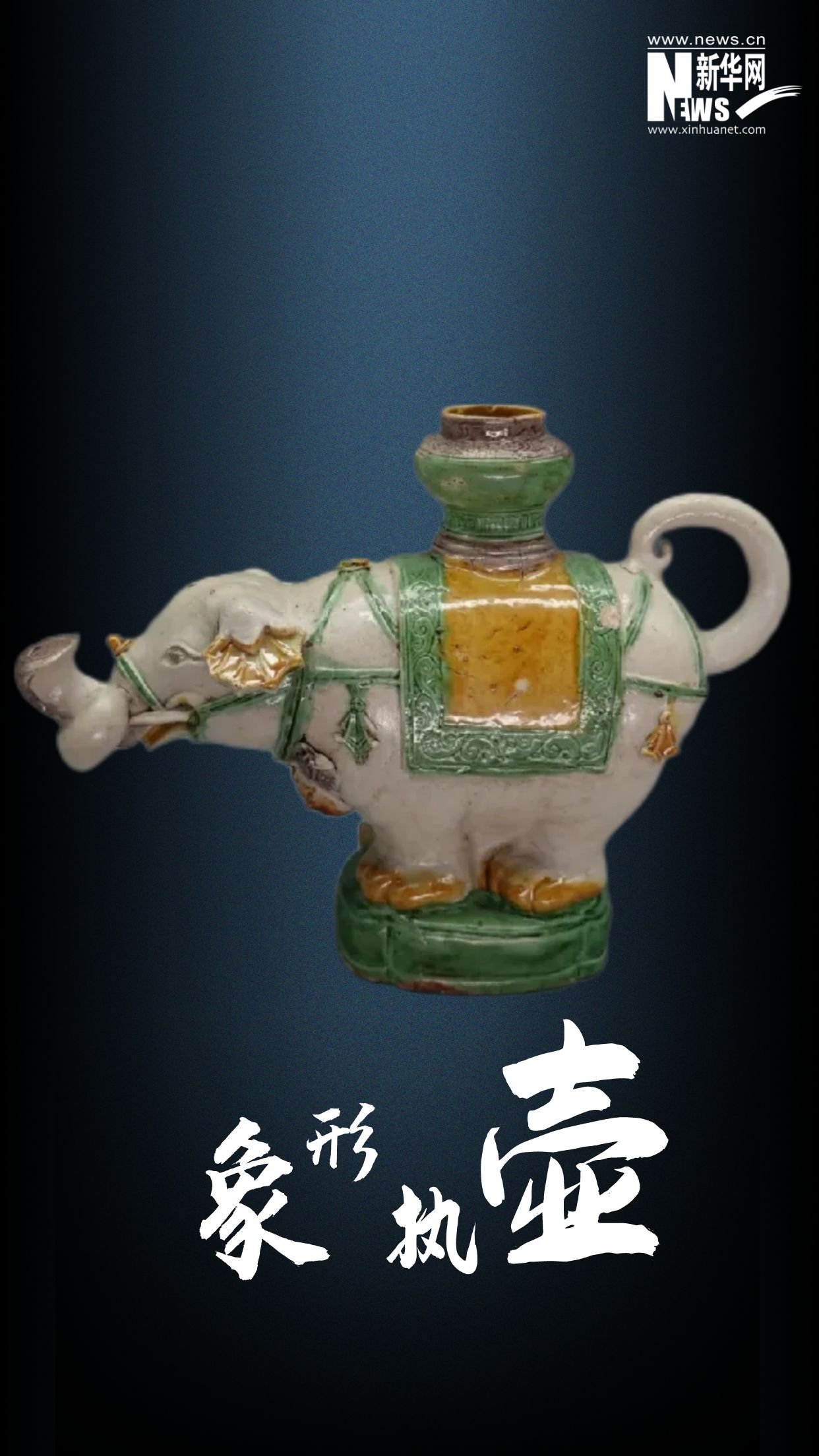 高清图看细节，南海沉船捞出了哪些“宝贝”-新华网