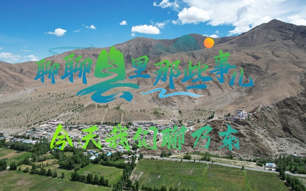 聊聊县里那些事儿：今天我们聊乃东