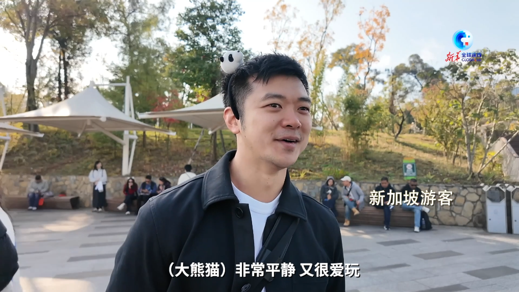 《全球》连线｜同比增长超70% 全球游客为熊猫“扎堆”成都