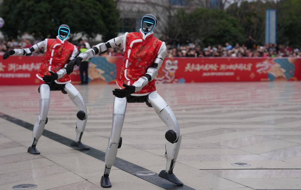 两会看“新”丨人形机器人，从“会表演”加速迈向“能干活”