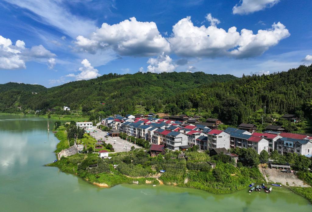 两会新华鲜报丨钉钉子！农村“关键小事”分量不小