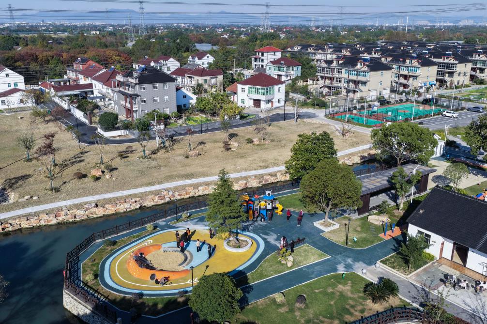 两会新华鲜报丨钉钉子！农村“关键小事”分量不小