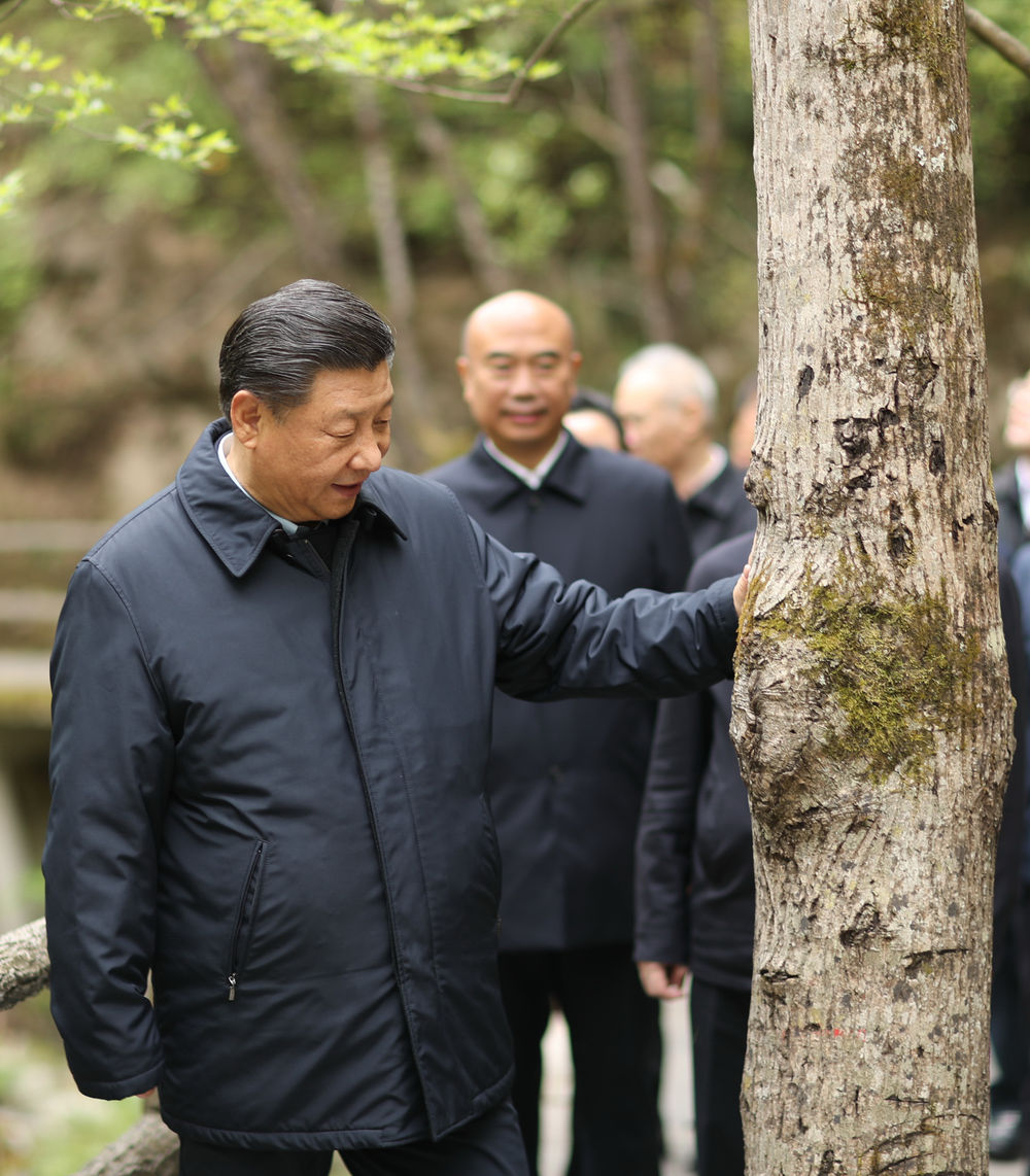 习近平带领百年大党奋进新征程(图15)