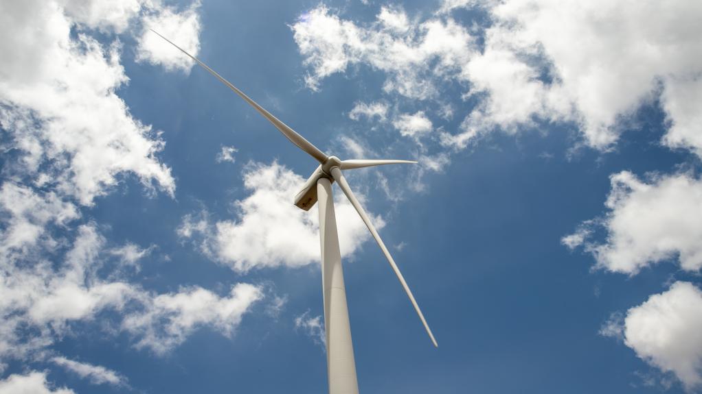 
习近平时间｜为世界增添“中国绿”
