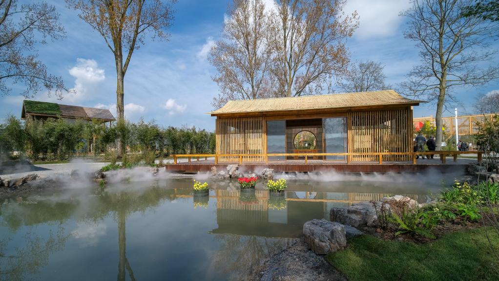 习近平时间｜中国“绿” 传世界