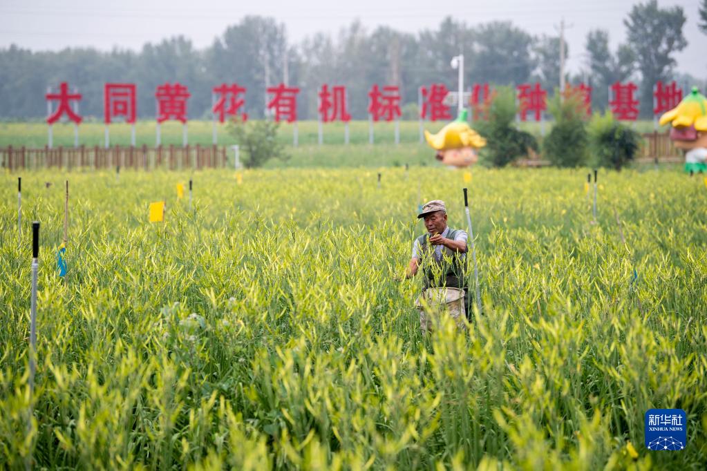  五村十年话变迁——循着习近平总书记山西乡村考察足迹看乡村振兴