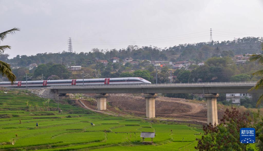 中印尼共建“一带一路”合作的“金字招牌”——记习近平主席关心推动的雅万高铁正式开通运营