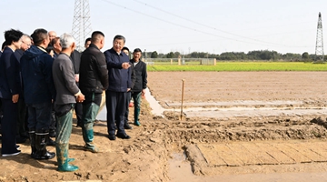 习近平走进农田考察春耕备耕情况