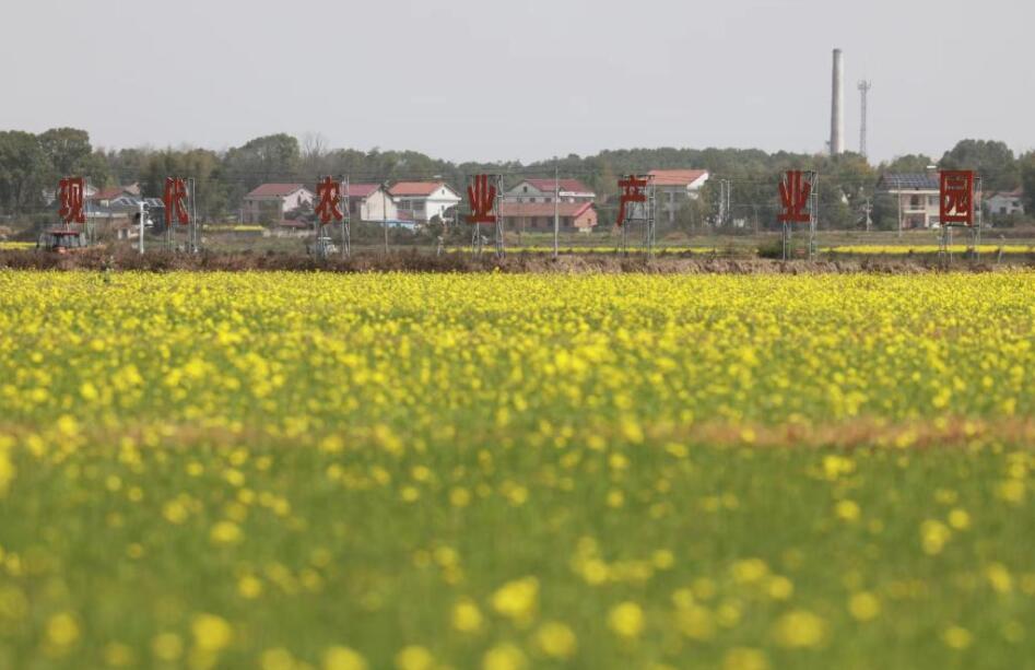新闻多一点丨跟着总书记了解港中坪村的春耕农事