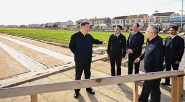 第1视点丨在水稻田边,总书记强调抓好春耕备耕