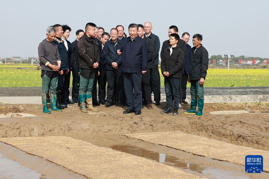 习近平在湖南考察时强调 坚持改革创新求真务实 奋力谱写中国式现代化湖南篇章