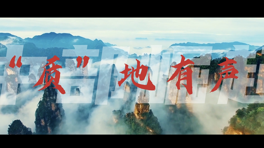 时政镜距离丨中部崛起,“质”地有声