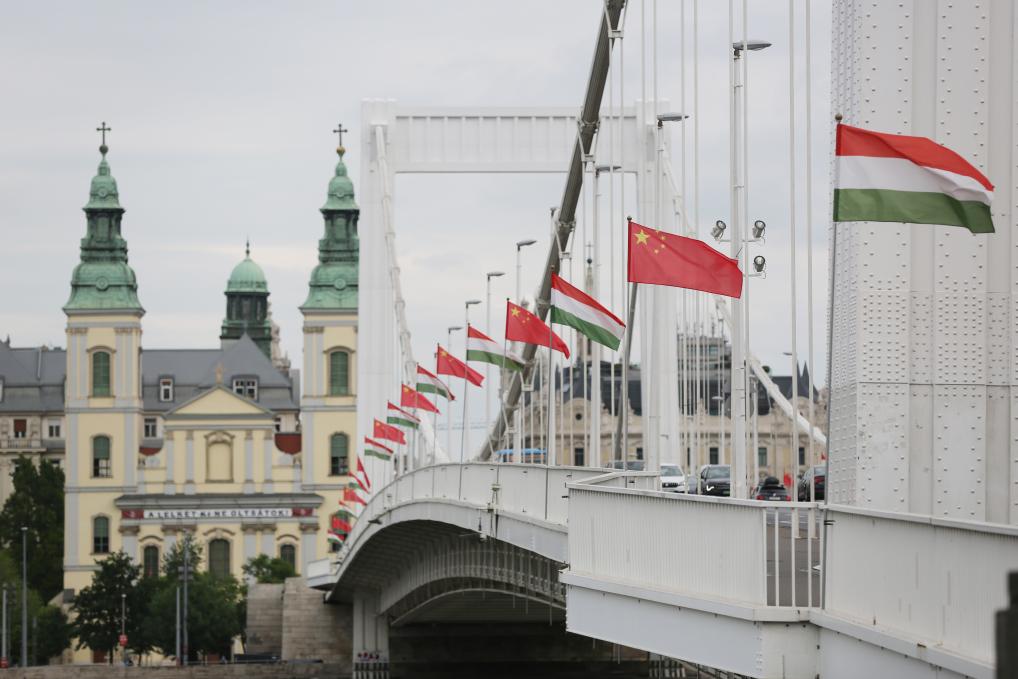 习近平主席抵达匈牙利 欧尔班总理夫妇热情迎接 (图6)
