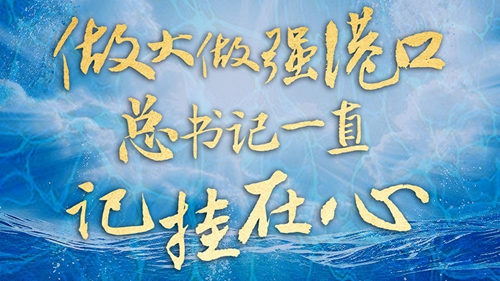 做大做强港口,总书记一直记挂在心