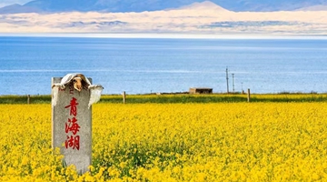 总要去一趟青海吧!
