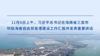 高标准建设海南自贸港，习近平总书记提出明确要求
