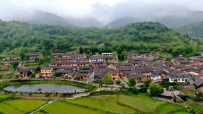 学习进行时丨习近平总书记关心推动老区发展振兴的故事