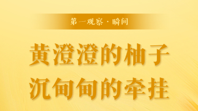 第一观察·瞬间丨黄澄澄的柚子，沉甸甸的牵挂