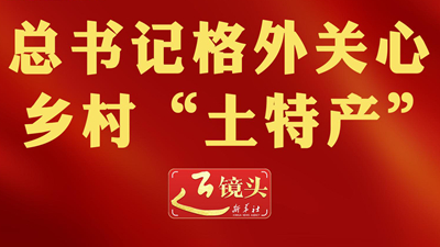 近镜头丨总书记格外关心乡村“土特产”